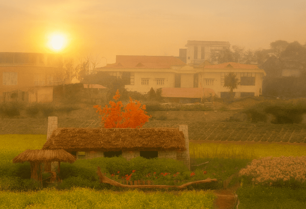 Discover the peaceful charm of West Lake Flower Valley, a floral paradise in the heart of Hanoi